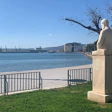 *oasis* View Jacuzzi New